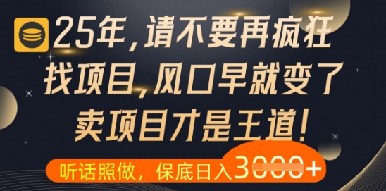 什么？25年你还在疯狂找项目做，醒醒吧，看完这些你全都懂了【揭秘】_超次元库