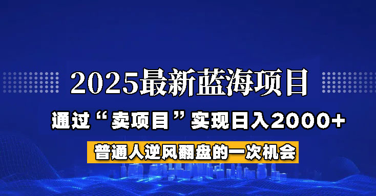 2025年蓝海项目,如何通过“网创项目”日入2000+-超次元库 2025年蓝海项目,如何通过“网创项目”日入2000+-超次元库