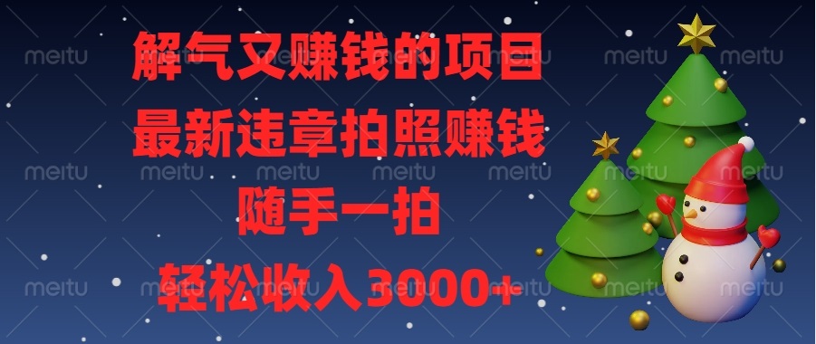 解气又赚钱的项目，最新违章拍照赚钱，随手一拍，轻松收入3000+_超次元库