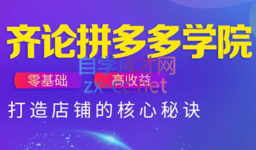 齐论拼多多vip课程_超次元库