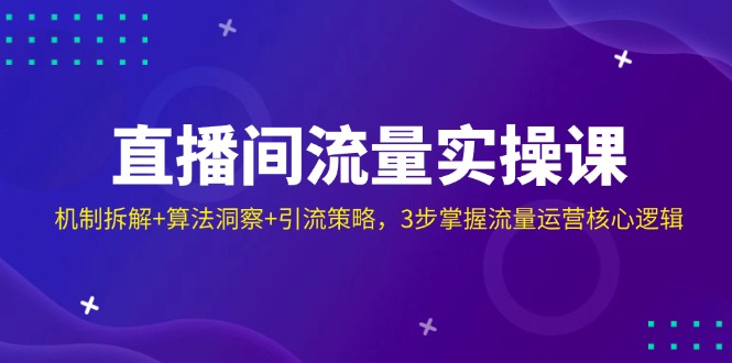 直播间流量实操课：机制拆解+算法洞察+引流策略，3步掌握流量运营核心逻辑_超次元库