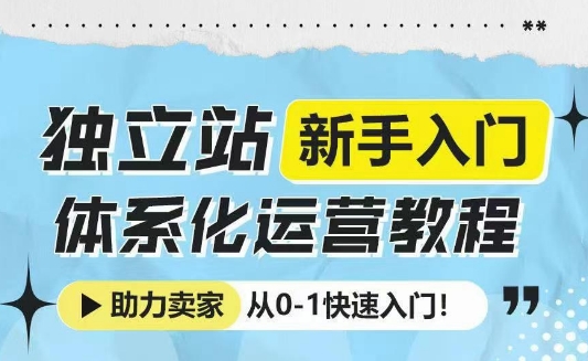 独立站新手入门体系化运营教程，助力独立站卖家从0-1快速入门!_超次元库