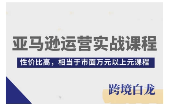 亚马逊运营实战课程，亚马逊从入门到精通，性价比高，相当于市面万元以上元课程_超次元库