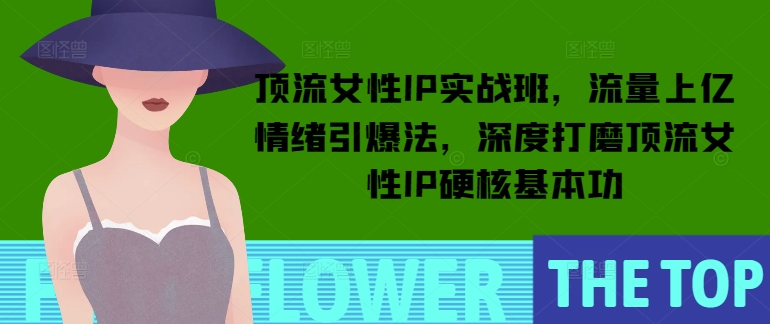 顶流女性IP实战班，流量上亿情绪引爆法，深度打磨顶流女性IP硬核基本功_超次元库