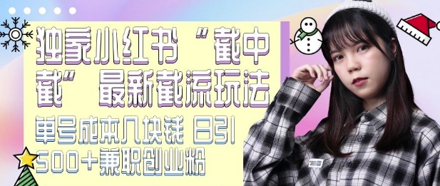 最新小红书截流玩法 独家截中截 单号成本几块钱 日引500+CY粉JZ粉_超次元库