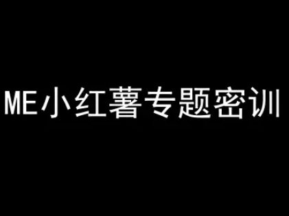 ME小红薯专题密训-小红书电商教程_超次元库