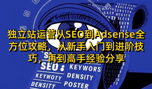独立站运营从SEO到Adsense全方位攻略，从新手入门到进阶技巧，再到高手经验分享_超次元库