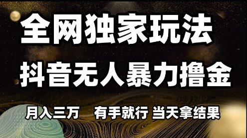 全网独家玩法抖音无人暴力撸金，月入3W，有手就行，当天拿结果【揭秘】_超次元库
