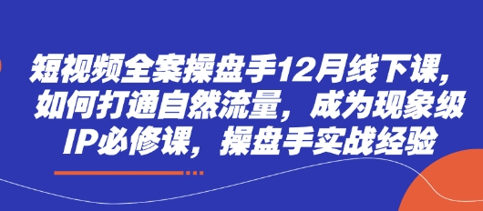短视频全案操盘手12月线下课，如何打通自然流量，成为现象级IP必修课，操盘手实战经验_超次元库