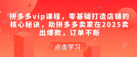 拼多多vip课程，零基础打造店铺的核心秘诀，助拼多多卖家在2025卖出爆款，订单不断_超次元库