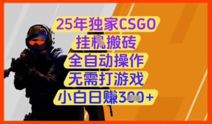 25年独家CSGO挂G搬砖，全自动操作，无需打游戏，小白日入3张+【揭秘】_超次元库