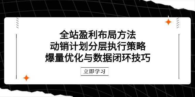 全站盈利布局方法：动销计划分层执行策略，爆量优化与数据闭环技巧_超次元库