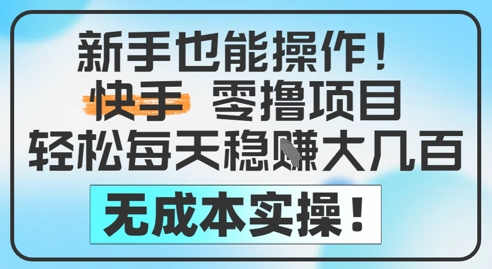 新手也能操作，快手零撸挣米，轻松每天挣2-5张，完全无成本_超次元库