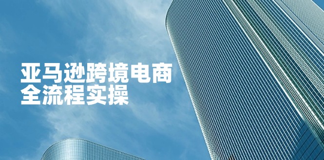 亚马逊跨境电商全流程实操，教你从零开始，掌握店铺运营与广告技巧_超次元库