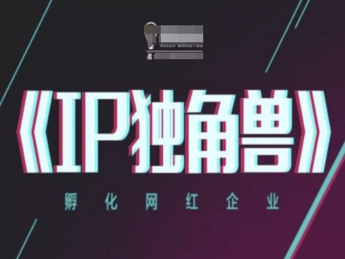 IP独角兽，孵化网红企业，ip教程_超次元库