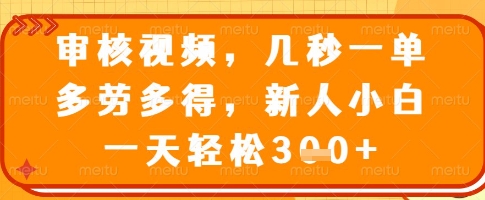 审核视频，几秒一单，多劳多得，新人小白一天轻松3张【揭秘】_超次元库