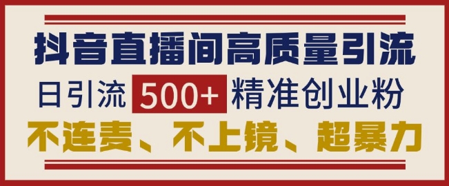 抖音直播间引流创业粉，无需连麦、不用上镜、超暴力，日引流500+高质量精准创业粉_超次元库