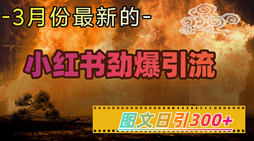 小红书超劲爆引流手段，图文日引300+轻松变现1W_超次元库