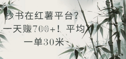抄书在小红薯平台？平均一单30米，一天收益几张！_超次元库