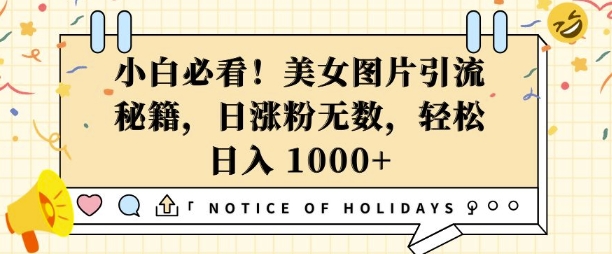 小白必看，美女图片引流秘籍，日涨粉无数，轻松日入几张【揭秘】_超次元库