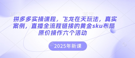 拼多多实操课程，飞龙在天玩法，真实案例，直播全流程链接的黄金sku布局原价操作六个活动_超次元库