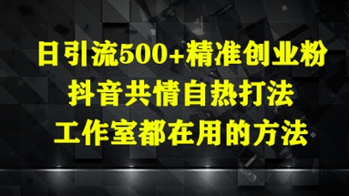 日引流500+精准创业粉，抖音共情自热打法，工作室都在用的方法_超次元库