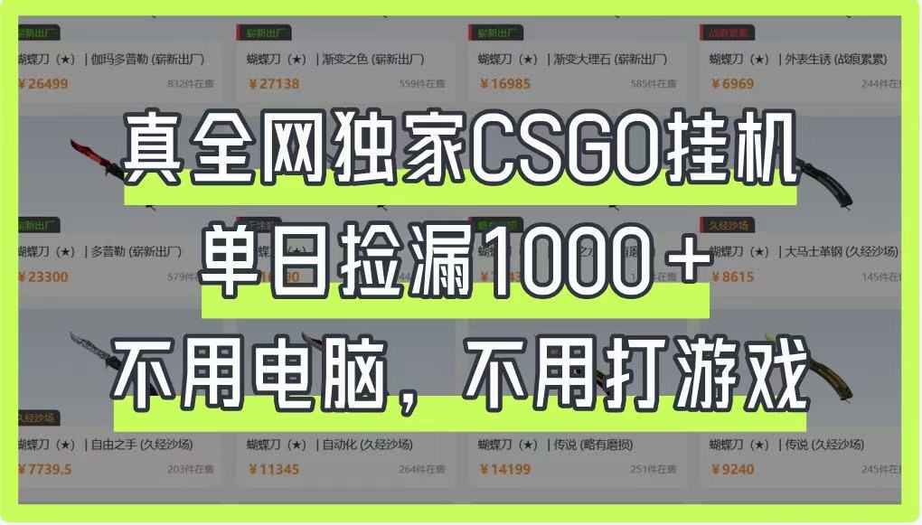 真全网独家CSGO挂机，单日捡漏1000+，不用电脑，不用养号_超次元库