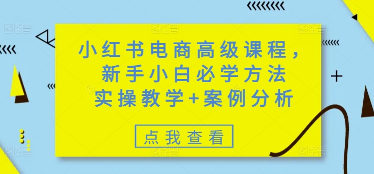 小红书电商高级课程，新手小白必学方法，实操教学+案例分析_超次元库