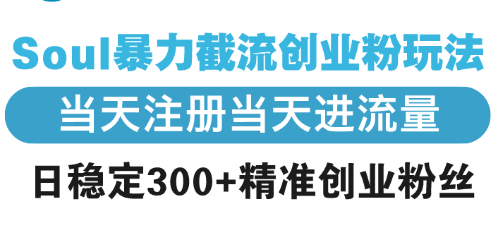 Soul暴力截流创业粉玩法，当天注册当天进流量，日稳定300+精准创业粉丝_超次元库