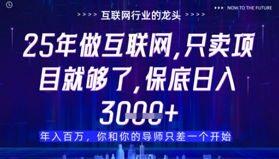 什么！25年你还在找项目做？风口早就变了，卖项目才是稳挣不赔【揭秘】_超次元库