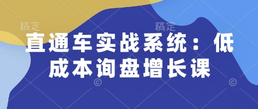 直通车实战系统：低成本询盘增长课，让个人通过技能实现升职加薪，让企业低成本获客，订单源源不断_超次元库