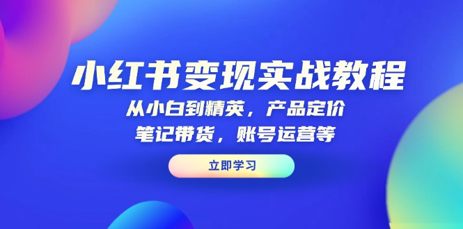 小红书变现实战教程：从小白到精英，产品定价，笔记带货，账号运营等_超次元库