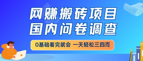 网创搬砖项目，国内问卷调查，小白轻松上手，一天三四张的也不难，干就完了【揭秘】_超次元库