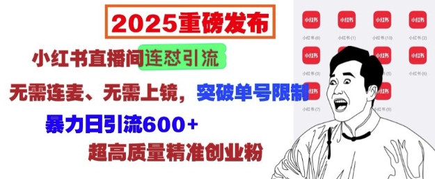2025重磅发布：小红书直播间连怼引流，无需连麦、无需上镜，突破单号限制，暴力日引流600+_超次元库