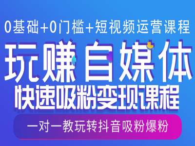 0基础+0门槛+短视频运营课程，玩赚自媒体快速吸粉变现课程，一对一教玩转抖音吸粉爆粉_超次元库