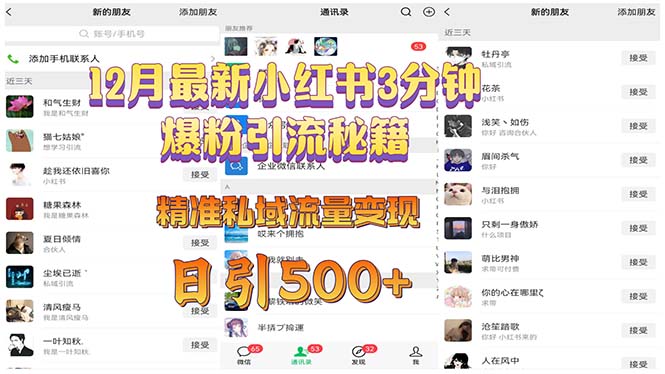 12月最新小红书3分钟爆粉引流秘籍 精准私域流量变现 日引500+_超次元库