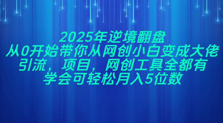 2025年逆境翻盘，从0开始带你从网创小白变成大佬，引流，项目，网创工…_超次元库