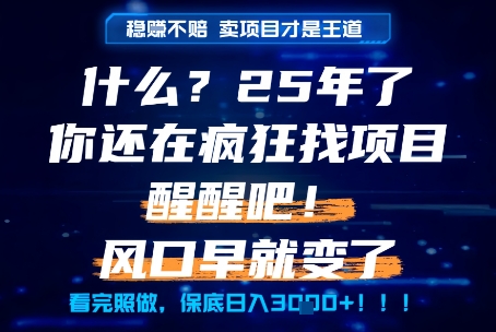 什么？25年你还在疯狂找项目做，醒醒吧，看完这些你全都懂了！【揭秘】_超次元库