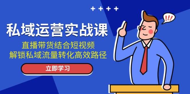 私域运营实战课：直播带货结合短视频，解锁私域流量转化高效路径_超次元库