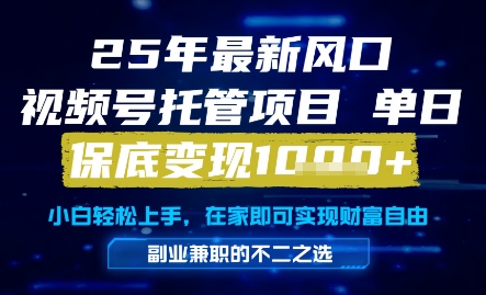 25年最新风口，视频号托管项目，单日保底变现1k+，手把手教学【揭秘】_超次元库
