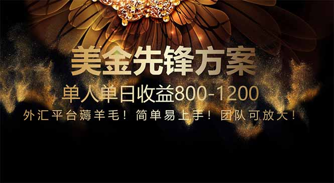 免费技术！小众赛道！一年布局抵三年努力，每日800+_超次元库