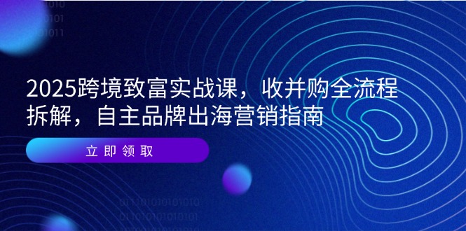 2025跨境致富实战课，收并购全流程拆解，自主品牌出海营销指南_超次元库