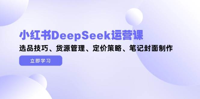 小红书DeepSeek运营课，选品技巧、货源管理、定价策略、笔记封面制作_超次元库