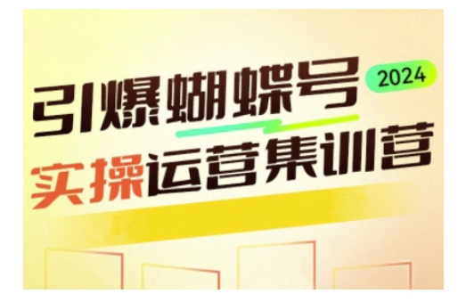 引爆蝴蝶号实操运营，助力你深度掌握蝴蝶号运营，实现高效实操，开启流量变现之路_超次元库