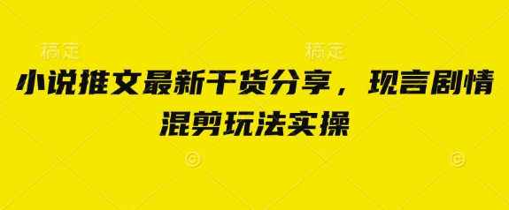 小说推文最新干货分享，现言剧情混剪玩法实操_超次元库