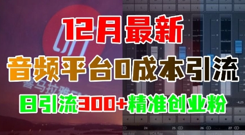 12月最新：音频平台0成本引流，日引流300+精准创业粉_超次元库
