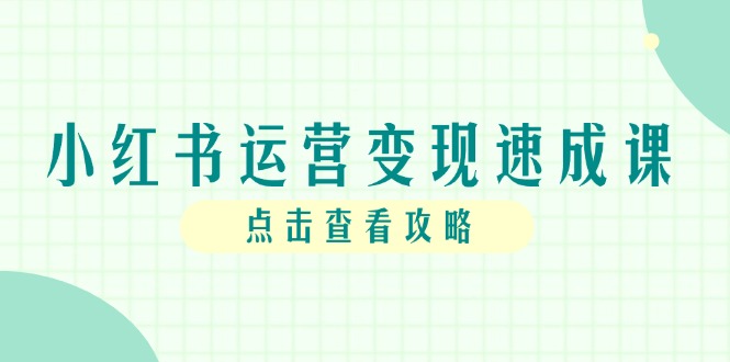 小红书运营变现速成课，账号搭建到暴力起号，个人IP全流程指南_超次元库