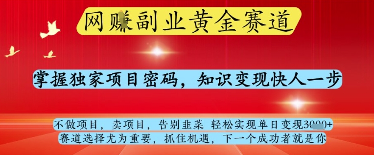 网创副业黄全赛道，掌握独家项目密码，知识变现快人一步，告别韭菜轻松实现单日变现1k+【揭秘】_超次元库