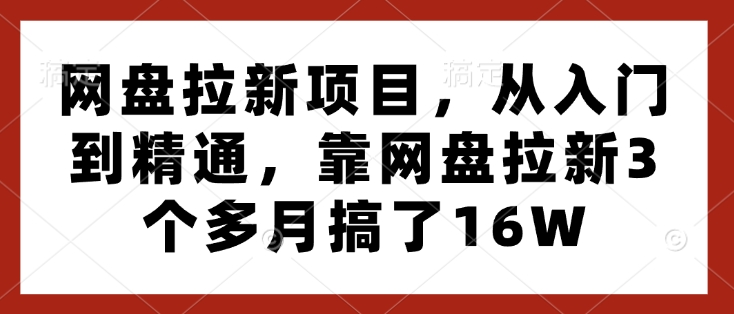 网盘拉新项目，从入门到精通，靠网盘拉新3个多月搞了16W_超次元库