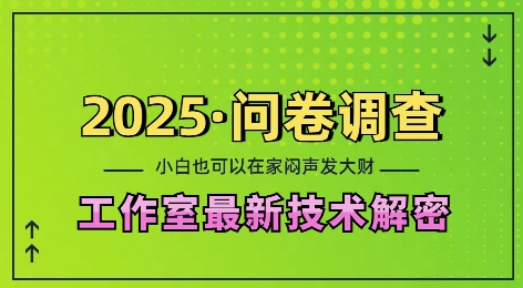 2025问卷调查最新工作室技术解密：一个人在家也可以闷声发大财，小白一天2张，可矩阵放大【揭秘】_超次元库
